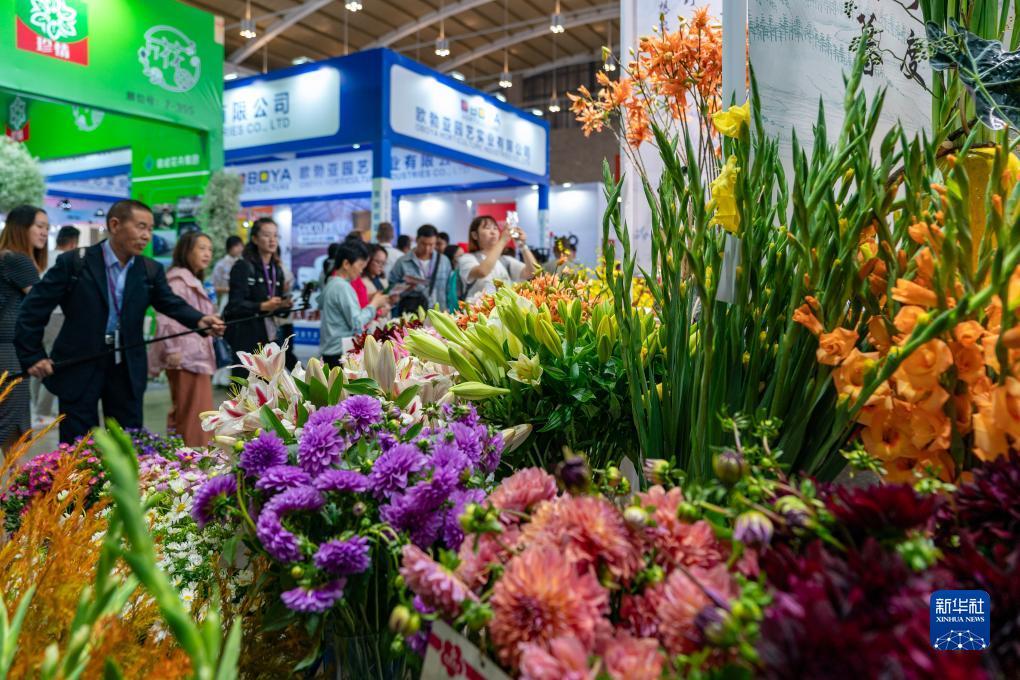 免费欢乐金花游戏下载